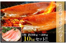 D-09006 旨塩！とろサーモンハラミ10kg