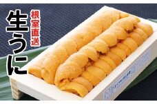 B-53008 エゾバフンウニ140～150g×1折[11月中旬以降順次発送]