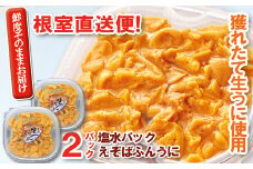 F-40003 エゾバフンウニ塩水パック100～110g×2P[11月上旬以降発送]