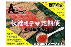 D-59010 ＜定期便＞【北海道根室産】秋鮭親子Aコース定期便(2回発送)