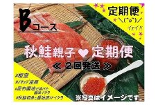 D-59011 ＜定期便＞【北海道根室産】秋鮭親子Bコース定期便(2回発送)