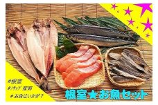 B-59007 【北海道根室産】根室のお魚セットA
