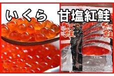 A-30029 いくら醤油漬け100g×1P、紅鮭切身5切×2P