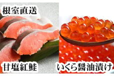 C-70024 いくら醤油漬け100g×2P、紅鮭切身5切×4P