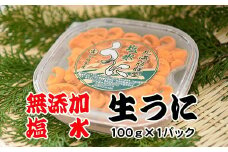 B-65019 エゾバフンウニ塩水パック100g×1P