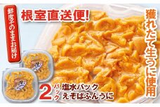 B-40022 エゾバフンウニ塩水パック70～80g×2P[10月下旬以降発送]