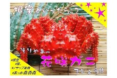B-59010 【北海道根室産】花咲ガニ2尾(計800g以上)
