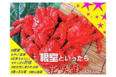 D-59016 【北海道根室産】花咲ガニ4～6尾(計2.8kg以上)