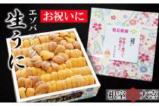 E-73002 エゾバフンウニ花盛り600g×1折