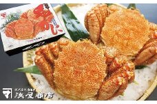 D-32009 毛がに570～650g×2尾