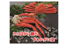 D-01056 たらばがに脚とずわいがに姿