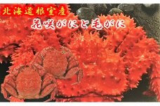 D-01017 【北海道根室産】花咲がにと毛がに2尾