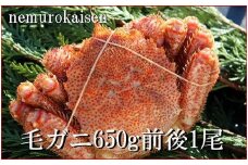 C-57016 【北海道根室産】毛ガニ650g前後×1尾