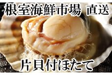 A-14134  ＼漁業者応援品／片貝ほたて10枚×2P