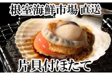 A-28124  ＼漁業者応援品／根室海鮮市場＜直送＞片貝ほたて10枚×2P