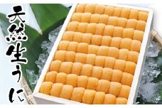 B-71012 エゾバフンウニ並べ詰め150g×1折[10月下旬以降発送]