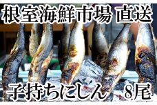 A-28126  根室海鮮市場＜直送＞一夜干子持ちにしん8尾