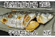 A-14136  一夜干し子持ちにしん8尾