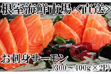 A-14140  お刺身トラウトサーモン約300～400g×2P