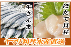 C-70038 冷凍さんま・ほたて貝柱セット