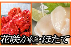 D-70029 花咲ガニ500g前後～650g前後×5尾、ほたて貝柱1kg