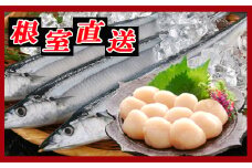 C-30038 生さんま5尾×5P、ほたて貝柱200g×2Pセット