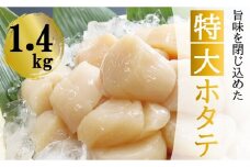 F-32017 ＼漁業者応援品／【北海道根室産】＜計1.4kg＞ホタテ貝柱(特大)700g×2P ふるさと納税 ホタテ 帆立 ほたて 海鮮