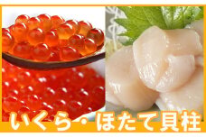 B-70019 いくら醤油漬け100g×1P、ほたて貝柱500g×1P