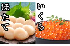 C-30041 いくら醤油漬け100g×2P、ほたて貝柱500g×1P ふるさと納税 ホタテ 帆立 ほたて 海鮮