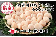 B-16054 ＼漁業者応援品／刺身用ほたて1.2kg ふるさと納税 ホタテ 帆立 ほたて 海鮮