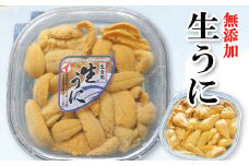 A-53008 ムラサキウニ塩水パック80～90g×2P[7月上旬以降発送]
