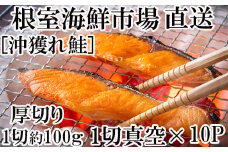 B-11060  天然沖獲れ鮭1切×10P(約1kg)