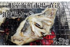 A-28141  根室海鮮市場＜直送＞銀だらカマ2.3kg