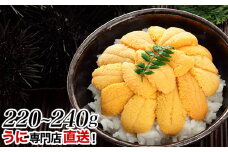 B-24008  ムラサキウニ塩水パック110～120g×2P