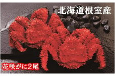 B-01027 【北海道根室産】花咲がに500g×2尾