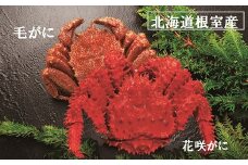 B-01028 【北海道根室産】毛がにと花咲がに