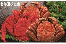 C-01025 【北海道根室産】花咲がに1尾と毛がに2尾