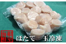A-57036 ＼漁業者応援品／【北海道根室産】ホタテ貝柱真空パック500g