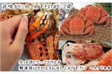 C-01028 【北海道根室産】花咲がに爪・爪下と毛がに2尾