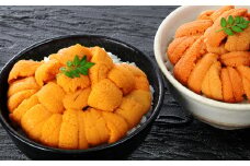 A-81022  エゾバフンウニ塩水パック50～60g×2P[11月中旬以降発送]