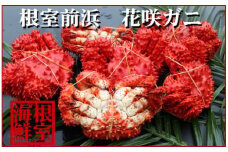 A-57037 【北海道根室産】花咲ガニ4～6尾(計1.2kg)