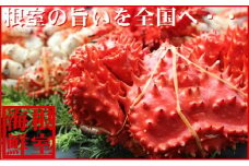 B-57016 【北海道根室産】花咲ガニ300～400g×5尾