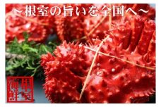 D-57014 花咲ガニ1.8～2.0kg前後×1尾
