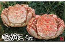 B-27010 【北海道根室産】ボイル毛蟹400g～480g×2尾