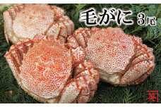 B-27011 【北海道根室産】ボイル毛蟹300g～380g×3尾