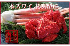 A-57040 本ズワイガニ足1肩、花咲ガニ1尾(計450～500g前後)