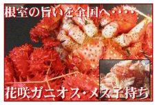 C-57024 【北海道根室産】花咲ガニ オス・メス(子持ち)各1尾(計1kg前後)