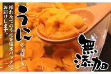 C-90006 無添加蝦夷バフンウニ塩水パック100g×2P 