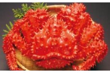 C-89003 【北海道根室産】花咲ガニ800～900g×1尾