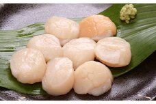 F-05005 ＼漁業者応援品／【北海道根室産】刺身用ホタテ貝柱500g×3P(計1.5kg)